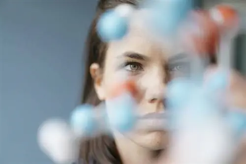 Простые упражнения надолго сохранят ваш мозг в форме