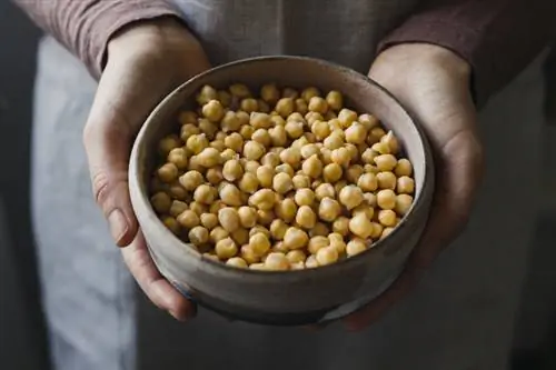 Вкусный ужин: вам понадобится всего 10 минут, чтобы приготовить это блюдо с низким содержанием углеводов
