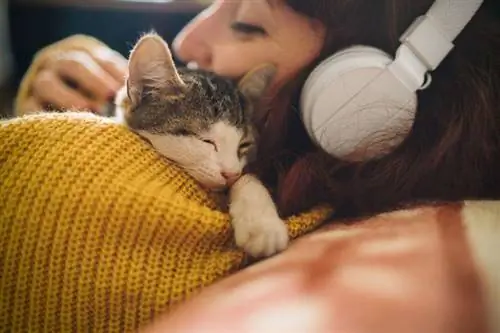 Женщина обнимается с кошкой Женщина обнимается с кошкой