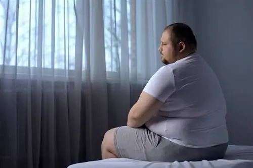 Идеалы красоты: мужчины тоже психологически страдают от лишнего веса