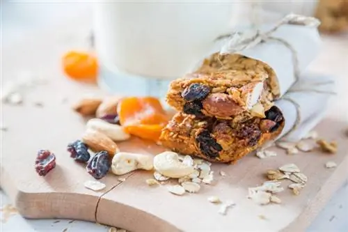 Перекусывать разрешено: 10 советов по здоровому питанию