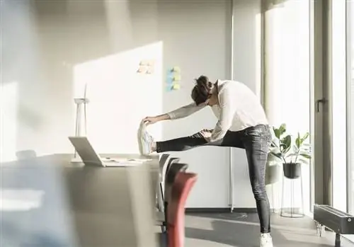 Пять простых упражнений помогут вам оставаться в форме в повседневной офисной жизни