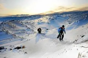 События ноября 2013 г.