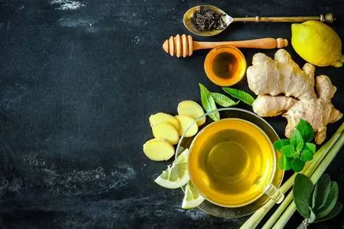 Чай из свежего имбиря с лимоном и медом