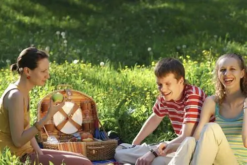 устроить пикник