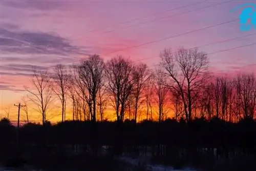 Гормоны счастья Не переживайте, будьте счастливы