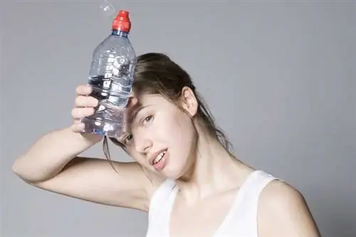 Прохладный