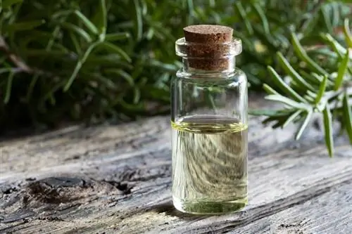 Похудение с МСТ: как масло может остановить тягу к еде