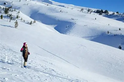Зимние виды спорта с разницей Йога на лыжах