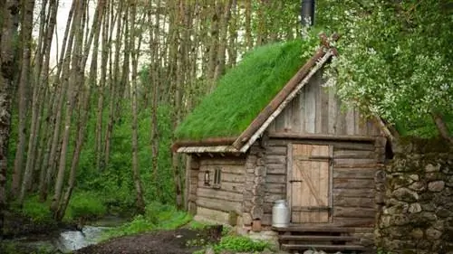 Иммунная система сауны