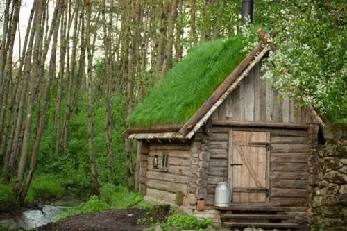 Сауна: иммунная система Горячий удар для иммунной системы