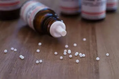 Глобулы на деревянном столе