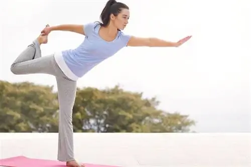 Вертикальный пилатес Пилатес с разницей