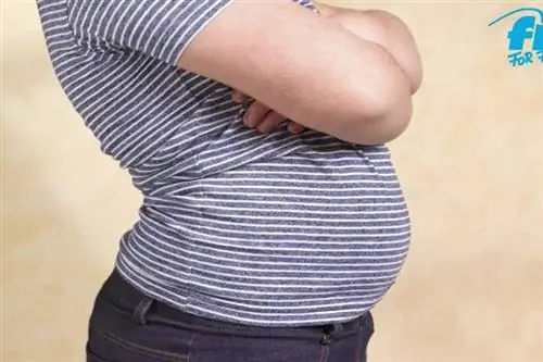 Жирный живот Подушечки на животе так опасны