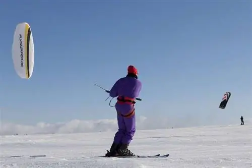 зимние виды спорта