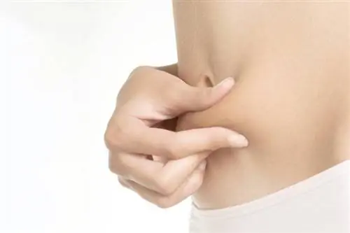 Успех диеты Спорт побеждает результативность