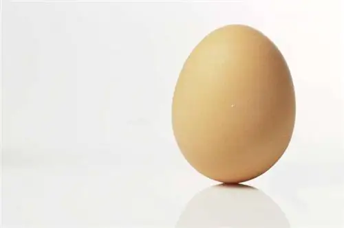 яйцо, яйца, завтрак, яйцо для завтрака, яичный белок