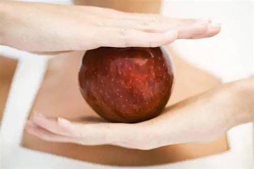 Похудеть и бросить курить немцы со здоровыми решениями