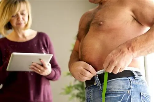 Здоровье и питание Европа в сравнении со здоровьем