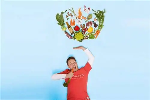 История успеха На 1:10 кг меньше с низким содержанием углеводов