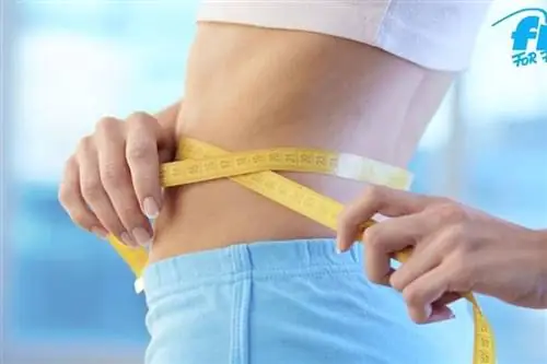 Измельченная диета Похудеть за шесть недель?