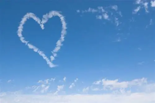 Сердце Раннее похудение для здорового сердца