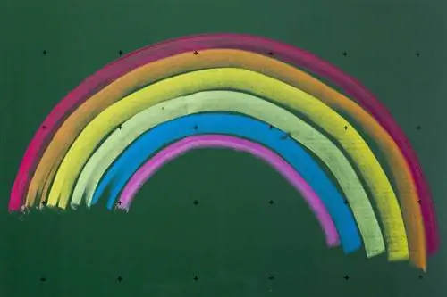 Похудеть Радужная диета: похудеть по цвету