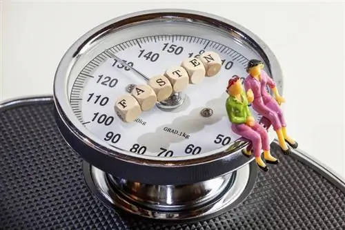 Очень быстро похудеть Помогает ли это?