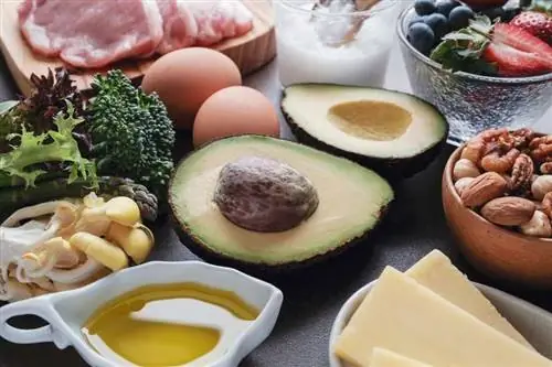 Продукты на кетогенной диете