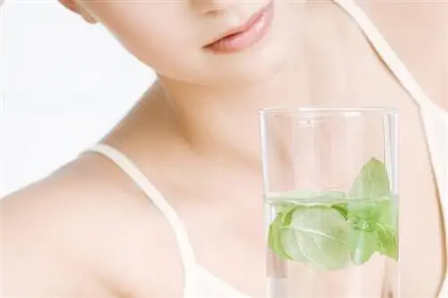 Детокс: вот что на самом деле делает детокс-лечение