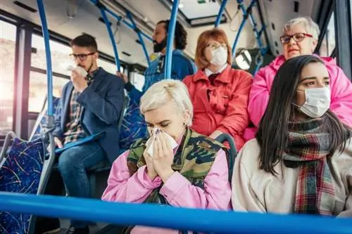 Опасный коронавирус: число смертей от вируса возросло до 563