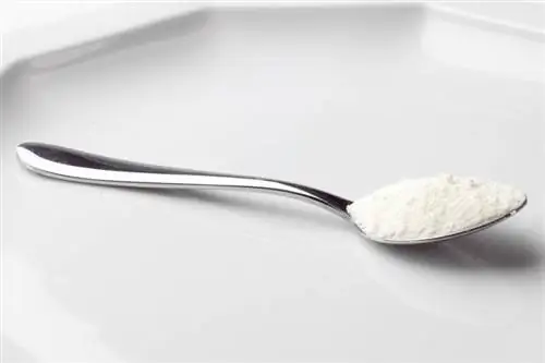 Пищевая сода Пистолет абсолютной мечты