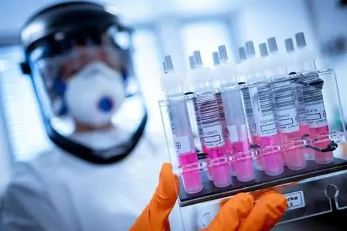 Пережив коронную инфекцию: эксперты предполагают иммунитет