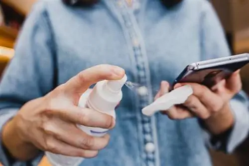 Женщина с дезинфицирующим средством и смартфоном