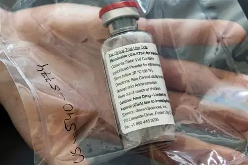 Ремдесивир: суета вокруг лекарства для пациентов с короной