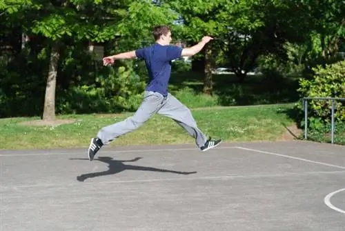 Паркур-плиометрика: 3 упражнения для развития взрывной силы ног