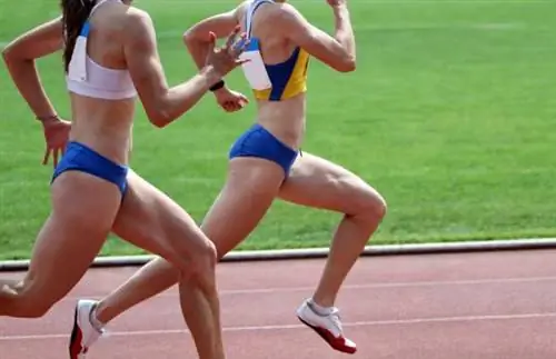 Эффективность бега: чем меньше, тем лучше?