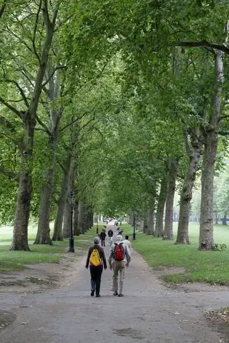 Кэти Боуман, меньше двигаться, малоподвижный образ жизни, первобытное движение, движение