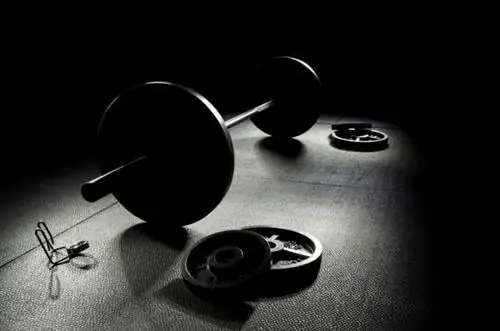 выбор тренировок, выбор программы тренировок, достойная программа тренировок