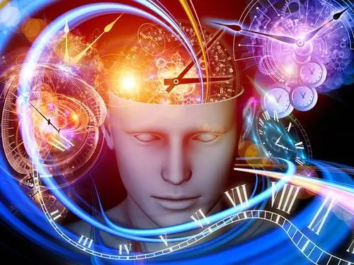 Уинслоу Дженкинс, питание, подсчет калорий, планирование питания, визуализация