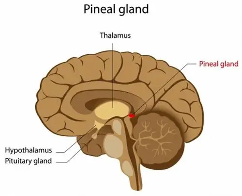 чакры, седьмая чакра, седьмая чакра, сахасрара чакра, сахасрара