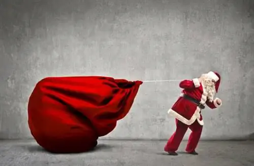 Фантастический рождественский список для тяжелоатлетов