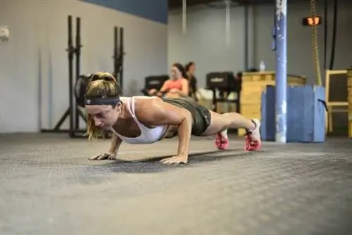 Простой протокол проверки работоспособности