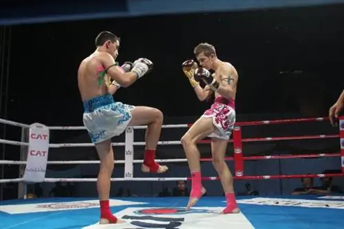 удар с разворота, удар ногой в тайском боксе, удар с разворота в тайском боксе, как выполнять удар ногой в тайском боксе