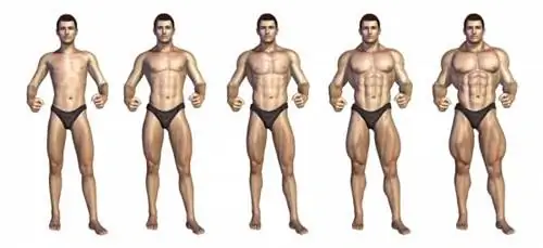 Блочная периодизация или линейная периодизация: что лучше?