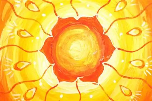 свадхистана, свадхистана, вторая чакра, сакральная чакра, чакры, йога