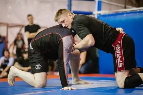 Основная роль лодыжки в BJJ