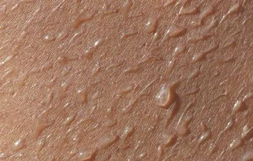 марафон, марафонская тренировка, тренировка в жару, марафонская гонка в жару, обезвоживание