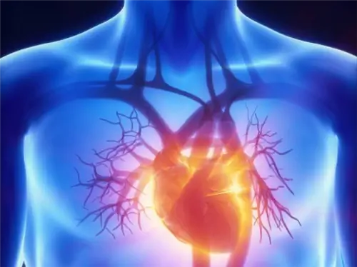 фитнес, сердце, кардио, кондиционирование, схемы, vo2 max фитнес, сердце, кардио, кондиционирование, схемы, vo2 max