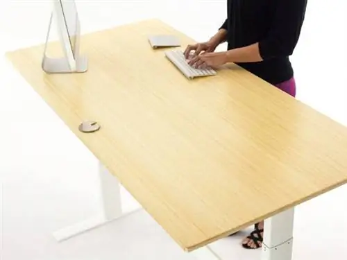 Регулируемый письменный стол NextDesk Terra (обзор продукта)